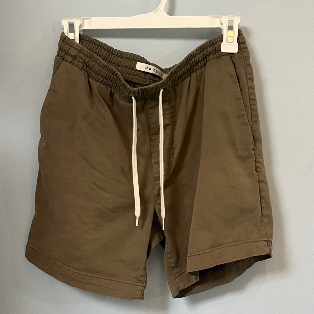 PacSun Men's Volley Athletic Shorts | Size Small